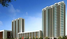 深圳东方最新爆料,揭秘行业背后惊人内幕