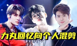 韩网男团爆料视频大全在线观看,揭秘偶像幕后故事